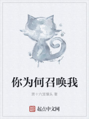 你为何召唤我最新章节列表,你为何召唤我全文阅读