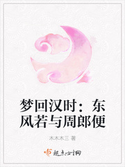 梦回汉时：东风若与周郎便最新章节列表,梦回汉时：东风若与周郎便全文阅读