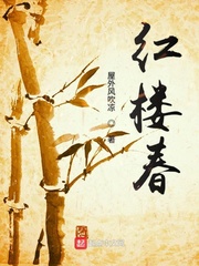 红楼春最新章节列表,红楼春全文阅读