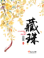 藏珠最新章节列表,藏珠全文阅读