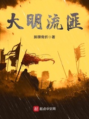 大明流匪最新章节列表,大明流匪全文阅读