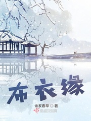 布衣缘最新章节列表,布衣缘全文阅读
