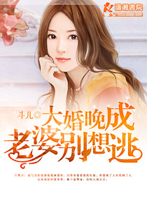 闪婚宠妻无度最新章节列表,闪婚宠妻无度全文阅读