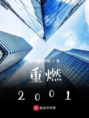 重燃2001最新章节列表,重燃2001全文阅读