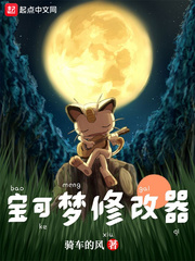 宝可梦修改器最新章节列表,宝可梦修改器全文阅读