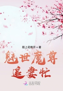 魅世魔尊追妻忙最新章节列表,魅世魔尊追妻忙全文阅读