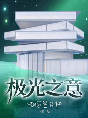 极光之意最新章节列表,极光之意全文阅读