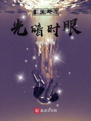 精灵之光暗时眼最新章节列表,精灵之光暗时眼全文阅读