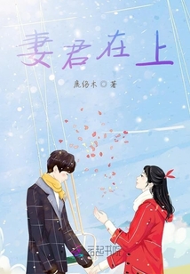 妻君在上最新章节列表,妻君在上全文阅读