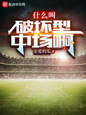 什么叫破坏型中场啊最新章节列表,什么叫破坏型中场啊全文阅读