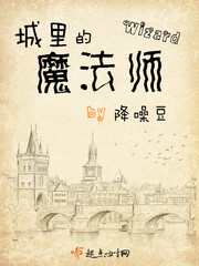 城里的魔法师最新章节列表,城里的魔法师全文阅读