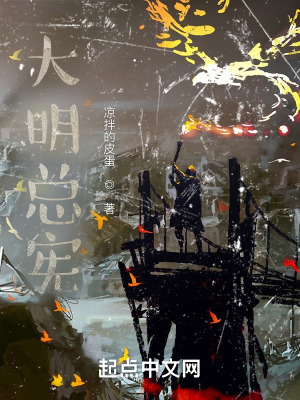 大明总宪最新章节列表,大明总宪全文阅读