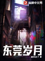 东莞岁月最新章节列表,东莞岁月全文阅读