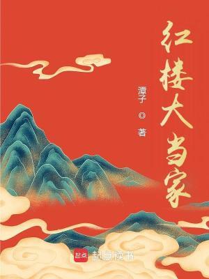 红楼大当家最新章节列表,红楼大当家全文阅读