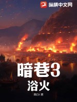 暗巷3：浴火最新章节列表,暗巷3：浴火全文阅读