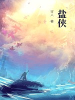 盐侠最新章节列表,盐侠全文阅读