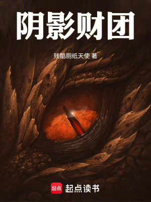 阴影财团最新章节列表,阴影财团全文阅读