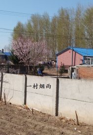 一村烟雨最新章节列表,一村烟雨全文阅读