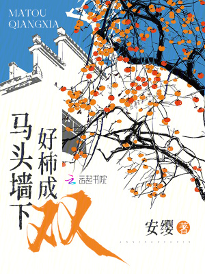 马头墙下好柿成双最新章节列表,马头墙下好柿成双全文阅读