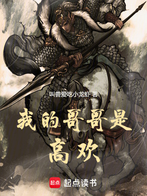 我的哥哥是高欢最新章节列表,我的哥哥是高欢全文阅读