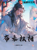 布衣权相最新章节列表,布衣权相全文阅读