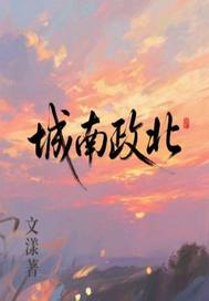 城南政北最新章节列表,城南政北全文阅读