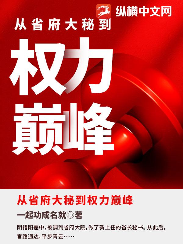 从省府大秘到权力巅峰最新章节列表,从省府大秘到权力巅峰全文阅读