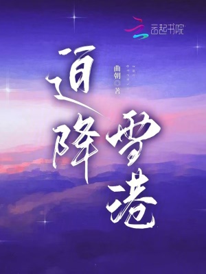 迫降雪港最新章节列表,迫降雪港全文阅读