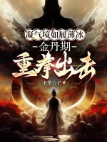 凝气境如履薄冰，金丹期重拳出击最新章节列表,凝气境如履薄冰，金丹期重拳出击全文阅读