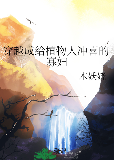 穿成给植物人冲喜的寡妇最新章节列表,穿成给植物人冲喜的寡妇全文阅读