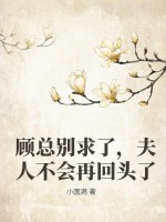 顾总别求了，夫人不会再回头了最新章节列表,顾总别求了，夫人不会再回头了全文阅读