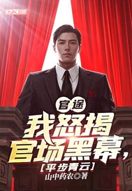 官途：我怒揭官场黑幕，平步青云最新章节列表,官途：我怒揭官场黑幕，平步青云全文阅读