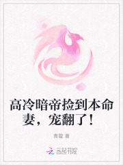 高冷暗帝捡到本命妻，宠翻了！最新章节列表,高冷暗帝捡到本命妻，宠翻了！全文阅读
