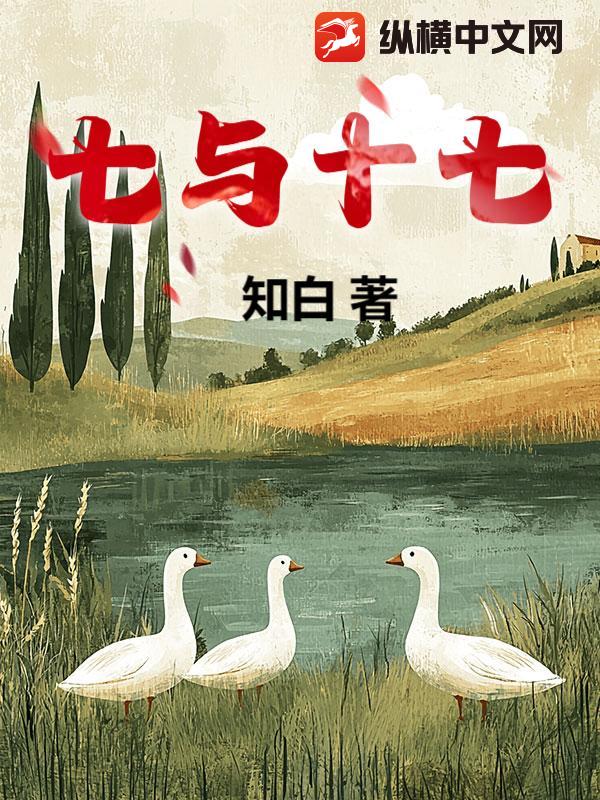 七与十七最新章节列表,七与十七全文阅读