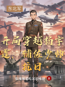 开局穿越杨宇霆，辅佐少帅抗日最新章节列表,开局穿越杨宇霆，辅佐少帅抗日全文阅读