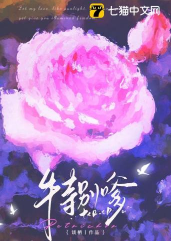 不务正夜最新章节列表,不务正夜全文阅读