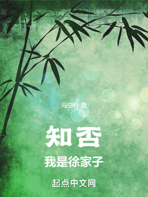 知否：我是徐家子最新章节列表,知否：我是徐家子全文阅读