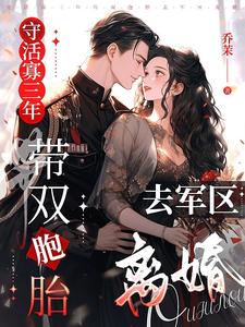 守活寡三年，带双胞胎去军区离婚最新章节列表,守活寡三年，带双胞胎去军区离婚全文阅读