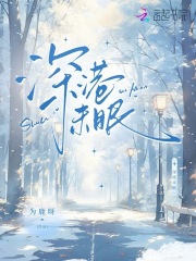深港未眠最新章节列表,深港未眠全文阅读
