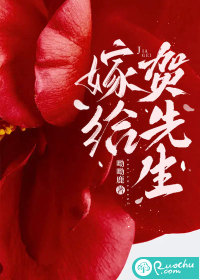 嫁给贺先生最新章节列表,嫁给贺先生全文阅读