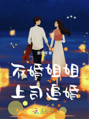 不婚姐姐，上司追婚最新章节列表,不婚姐姐，上司追婚全文阅读