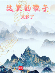 这里的猴子太多了！最新章节列表,这里的猴子太多了！全文阅读