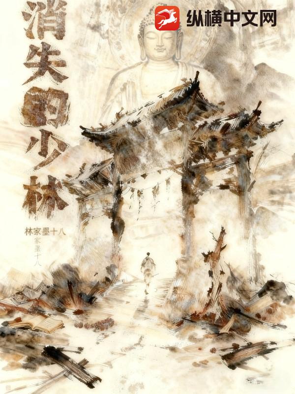 消失的少林最新章节列表,消失的少林全文阅读