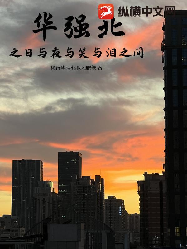 华强北之日与夜与笑与泪之间最新章节列表,华强北之日与夜与笑与泪之间全文阅读