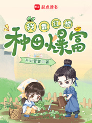 我靠红楼种田爆富最新章节列表,我靠红楼种田爆富全文阅读