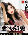 妻不如妾最新章节列表,妻不如妾全文阅读