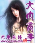 大内高手最新章节列表,大内高手全文阅读