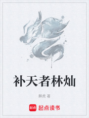 补天者林灿最新章节列表,补天者林灿全文阅读