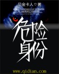 危险身份最新章节列表,危险身份全文阅读