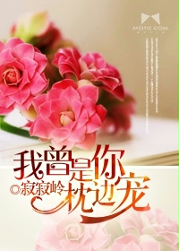 我曾是你枕边宠最新章节列表,我曾是你枕边宠全文阅读